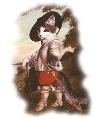 Catz 18